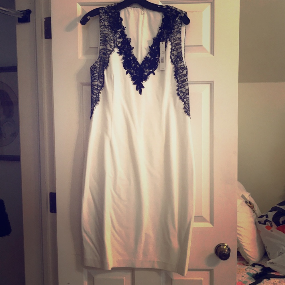 Tahari Sofie Dress NWT